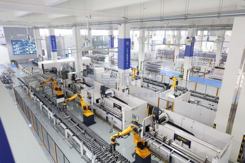 碳秘皇派门窗绿色之行 网络技术服务助力全国低碳日